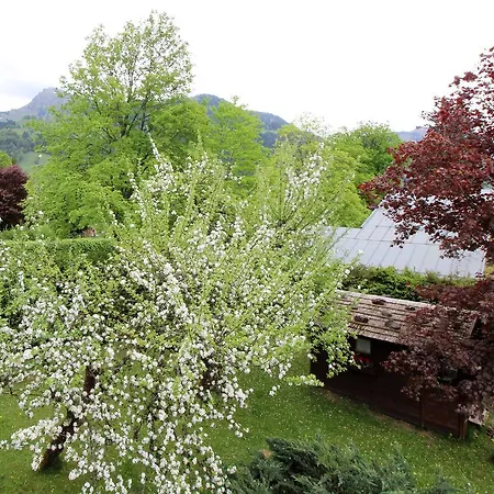 Lebenberg 1 By Managers Kitzbuhel